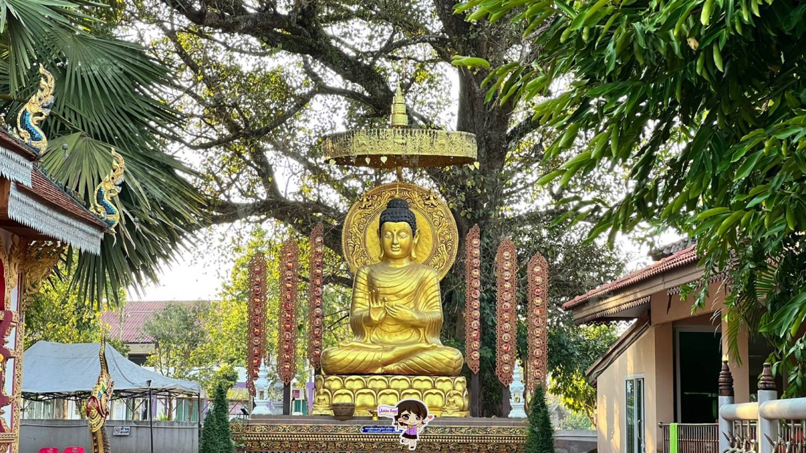 วัดภูเก็ต : มนต์เสน่ห์ @ น่าน , Jubilee Travel, พาสาน แลนด์มาร์คแห่งใหม่