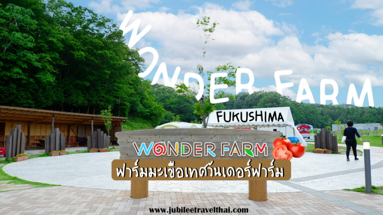 ฟาร์มมะเขือเทศ Wonder Farm : เก็บมะเขือเทศออร์แกนิกสดๆจากต้น เมืองอิวากิ ฟุกุชิมะ