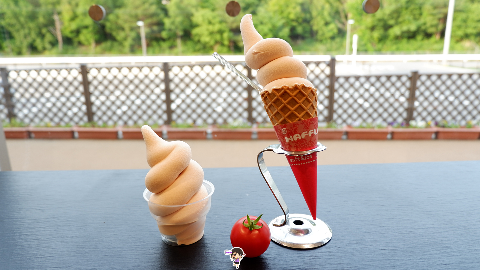 ฟาร์มมะเขือเทศ Wonder Farm : เก็บมะเขือเทศออร์แกนิกสดๆจากต้น เมืองอิวากิ ฟุกุชิมะ , Jubilee Travel, พาสาน แลนด์มาร์คแห่งใหม่