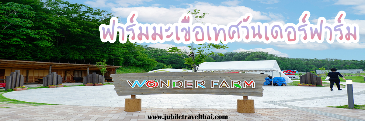 ฟาร์มมะเขือเทศ Wonder Farm : เก็บมะเขือเทศออร์แกนิกสดๆจากต้น เมืองอิวากิ ฟุกุชิมะ , Jubilee Travel, พาสาน แลนด์มาร์คแห่งใหม่