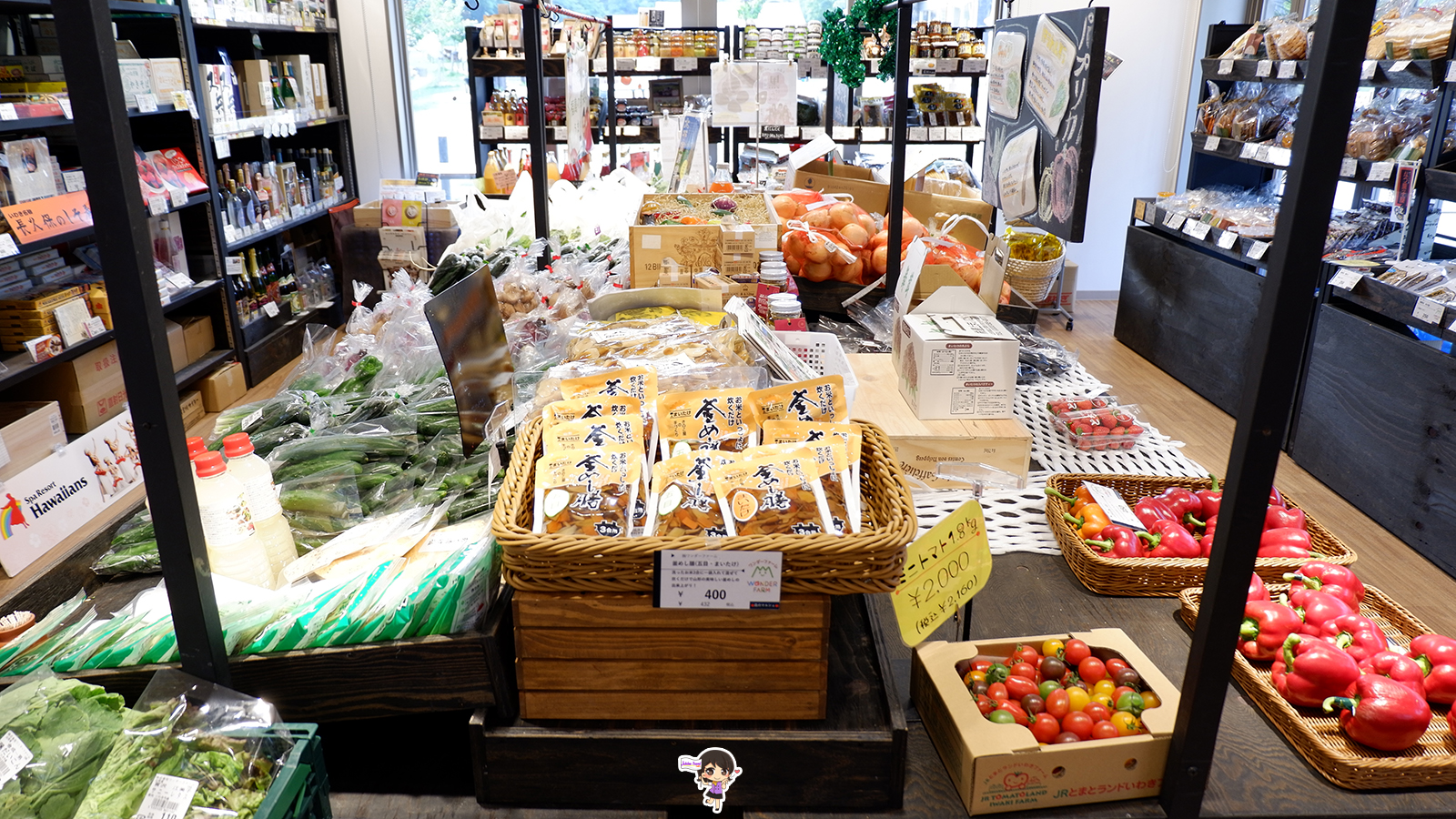 ฟาร์มมะเขือเทศ Wonder Farm : เก็บมะเขือเทศออร์แกนิกสดๆจากต้น เมืองอิวากิ ฟุกุชิมะ , Jubilee Travel, พาสาน แลนด์มาร์คแห่งใหม่