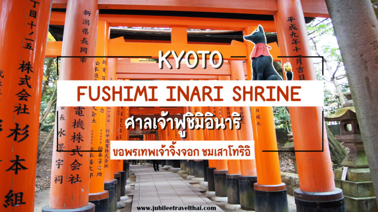 ศาลเจ้าฟูชิมิอินาริ : ศาลเจ้าจิ้งจอก กับ เสาโทริอิพันต้น Fushimi Inari Shrine