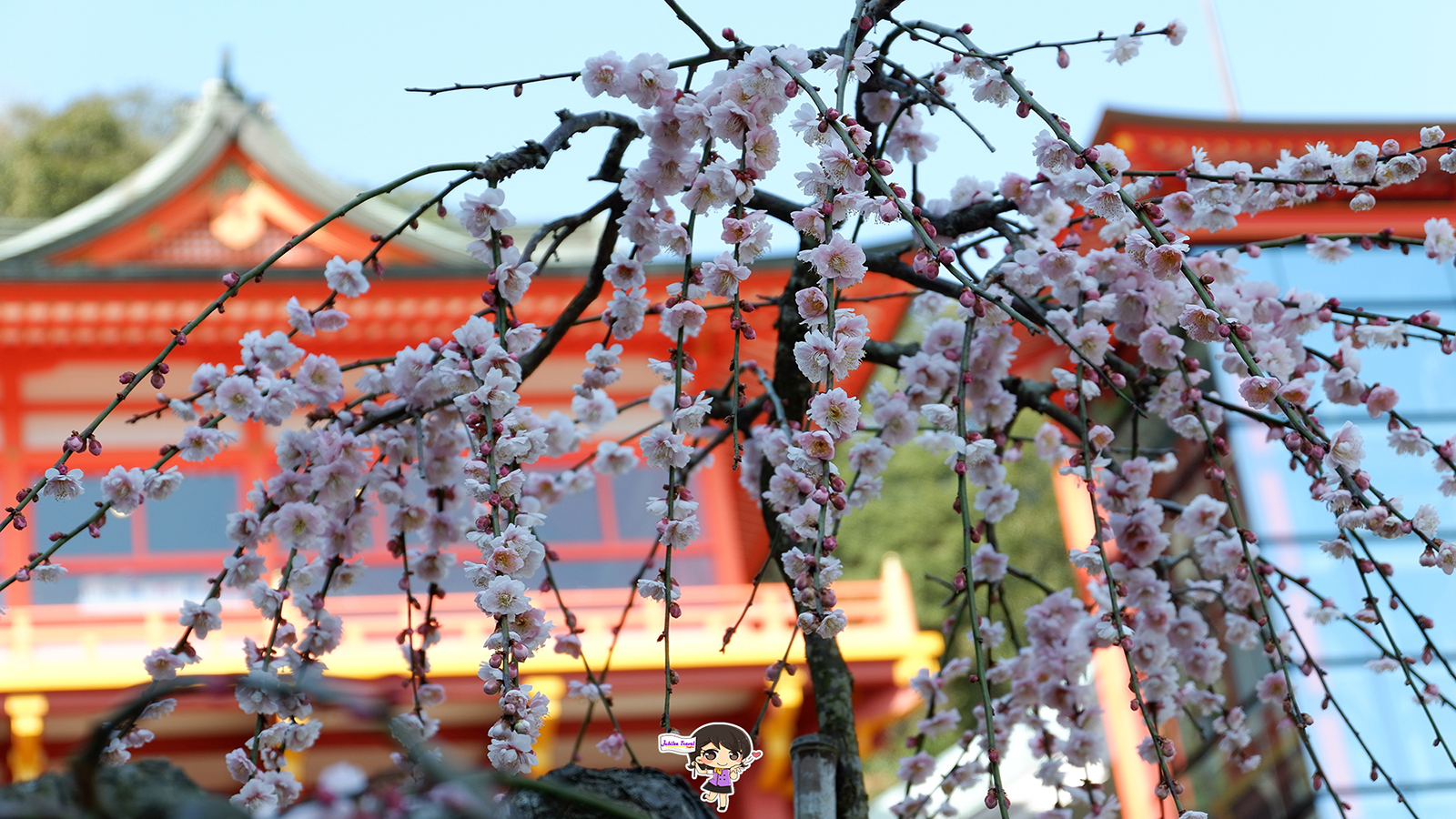 ทัวร์คิวชู เช็คอินที่ : ศาลเจ้ายูโทคุอินาริ Yutoku Inari Shrine จังหวัดซากะ , Jubilee Travel, พาสาน แลนด์มาร์คแห่งใหม่