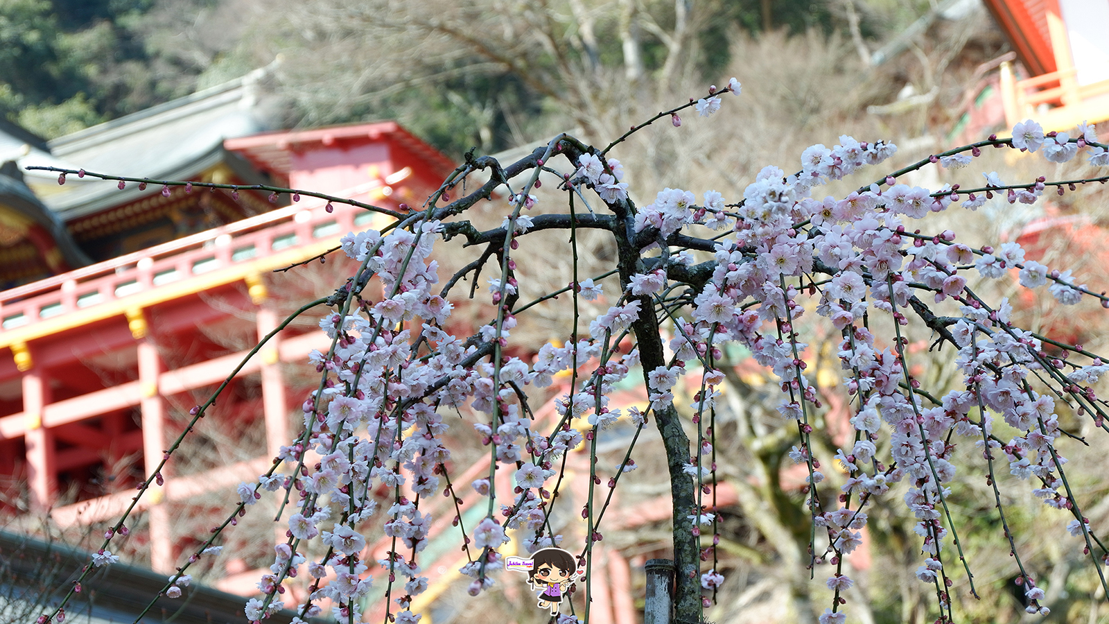 ทัวร์คิวชู เช็คอินที่ : ศาลเจ้ายูโทคุอินาริ Yutoku Inari Shrine จังหวัดซากะ , Jubilee Travel, พาสาน แลนด์มาร์คแห่งใหม่
