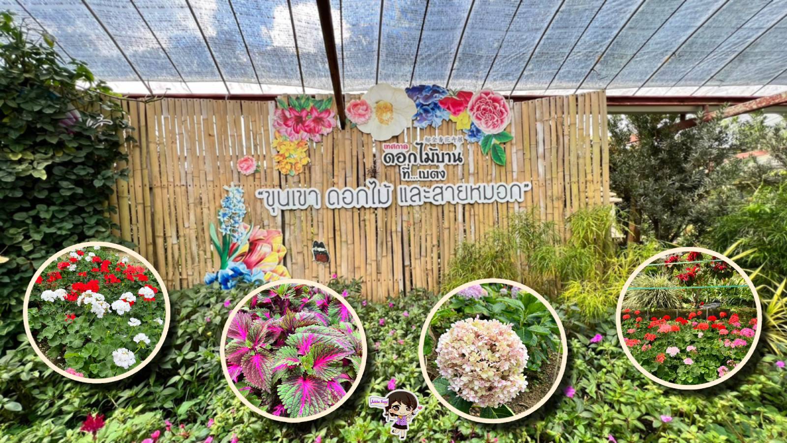 สวนหมื่นบุปผา : ที่นี่เบตง เมืองในหมอก ดอกไม้งาม , Jubilee Travel, พาสาน แลนด์มาร์คแห่งใหม่