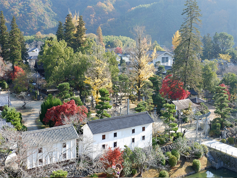 ปราสาทอิวาคุนิ : Iwakuni Castle ยามากุจิ , Jubilee Travel, ปราสาทอิวาคุนิ : Iwakuni Castle ยามากุจิ