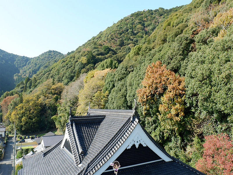 ปราสาทอิวาคุนิ : Iwakuni Castle ยามากุจิ , Jubilee Travel, ปราสาทอิวาคุนิ : Iwakuni Castle ยามากุจิ