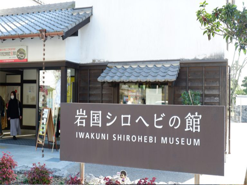 ปราสาทอิวาคุนิ : Iwakuni Castle ยามากุจิ , Jubilee Travel, ปราสาทอิวาคุนิ : Iwakuni Castle ยามากุจิ