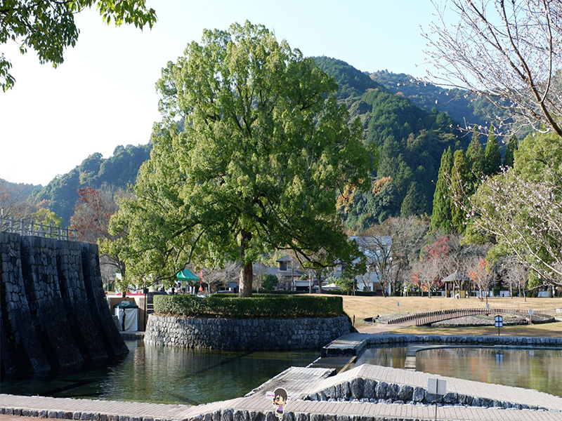 ปราสาทอิวาคุนิ : Iwakuni Castle ยามากุจิ , Jubilee Travel, ปราสาทอิวาคุนิ : Iwakuni Castle ยามากุจิ