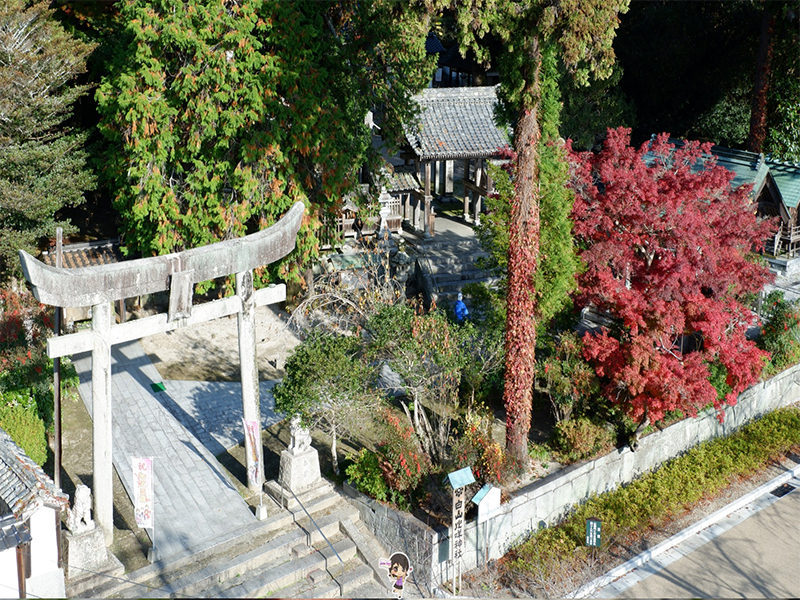 ปราสาทอิวาคุนิ : Iwakuni Castle ยามากุจิ , Jubilee Travel, ปราสาทอิวาคุนิ : Iwakuni Castle ยามากุจิ