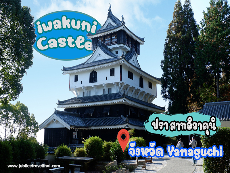 ปราสาทอิวาคุนิ : Iwakuni Castle ยามากุจิ , Jubilee Travel, ปราสาทอิวาคุนิ : Iwakuni Castle ยามากุจิ