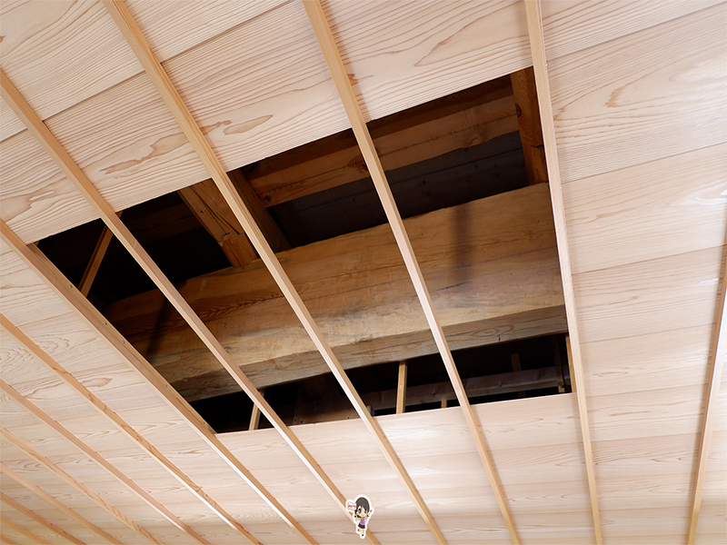 ฮอกไกโด ป้อมดาวห้าแฉก โกเรียวคาคุ ทาวเวอร์ : Fort Goryokaku , Jubilee Travel, ฮอกไกโด ป้อมดาวห้าแฉก โกเรียวคาคุ ทาวเวอร์ : Fort Goryokaku