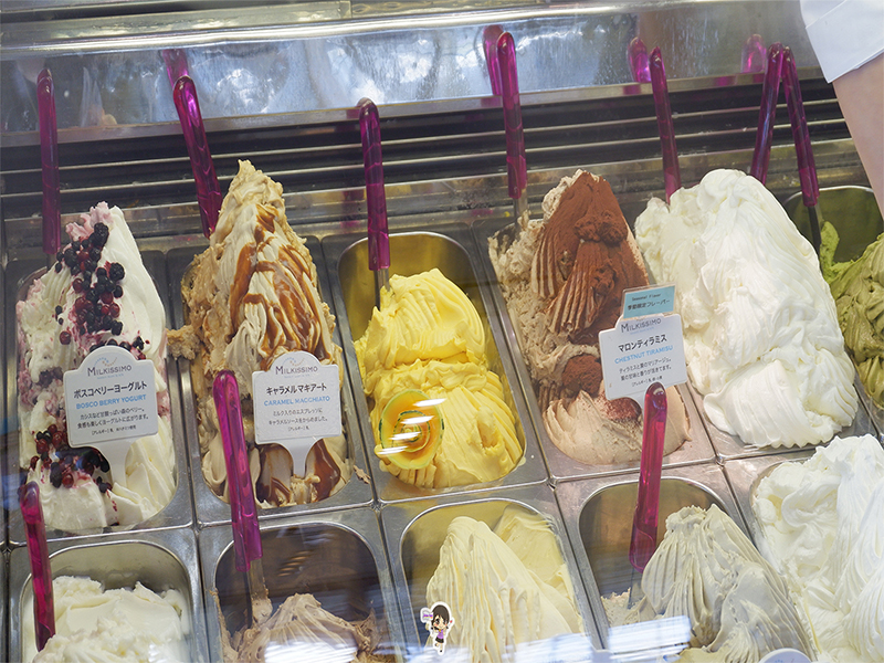 ฮอกไกโด ป้อมดาวห้าแฉก โกเรียวคาคุ ทาวเวอร์ : Fort Goryokaku , Jubilee Travel, ฮอกไกโด ป้อมดาวห้าแฉก โกเรียวคาคุ ทาวเวอร์ : Fort Goryokaku