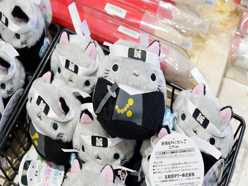 ฮอกไกโด ป้อมดาวห้าแฉก โกเรียวคาคุ ทาวเวอร์ : Fort Goryokaku , Jubilee Travel,