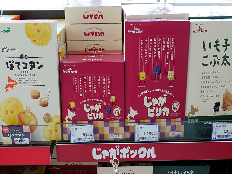 ฮอกไกโด ป้อมดาวห้าแฉก โกเรียวคาคุ ทาวเวอร์ : Fort Goryokaku , Jubilee Travel, ฮอกไกโด ป้อมดาวห้าแฉก โกเรียวคาคุ ทาวเวอร์ : Fort Goryokaku