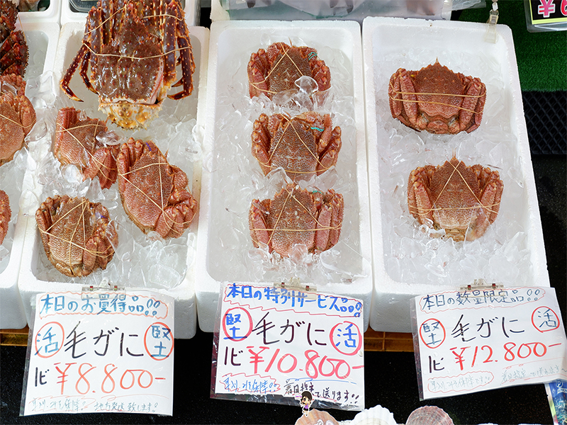 ตลาดปลา ฮาโกดาเตะ ของทะเลสดๆ กิน ช้อป ยามเช้า , Jubilee Travel,