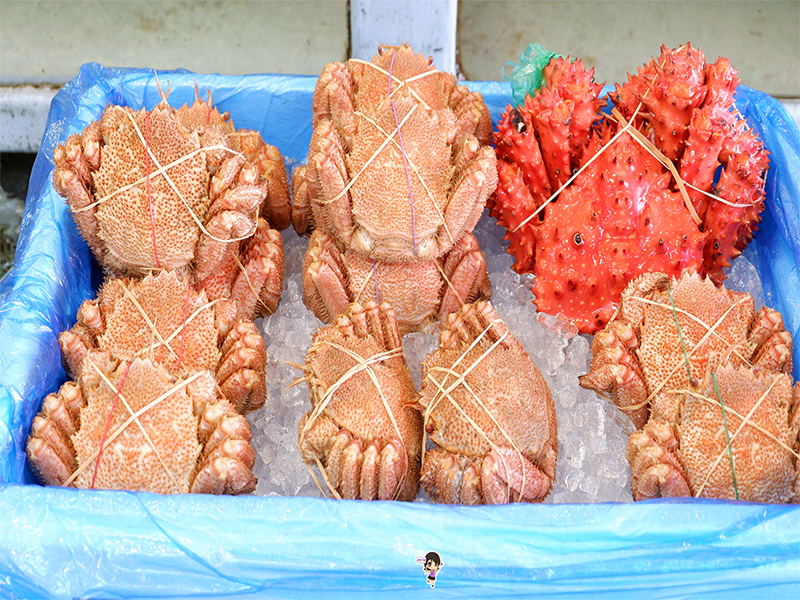 ตลาดปลา ฮาโกดาเตะ ของทะเลสดๆ กิน ช้อป ยามเช้า , Jubilee Travel,