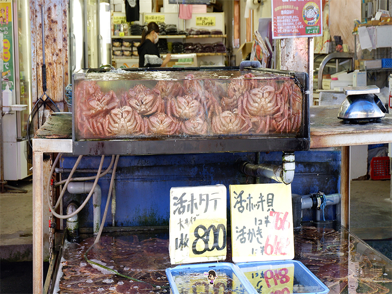 ตลาดปลา ฮาโกดาเตะ ของทะเลสดๆ กิน ช้อป ยามเช้า , Jubilee Travel,