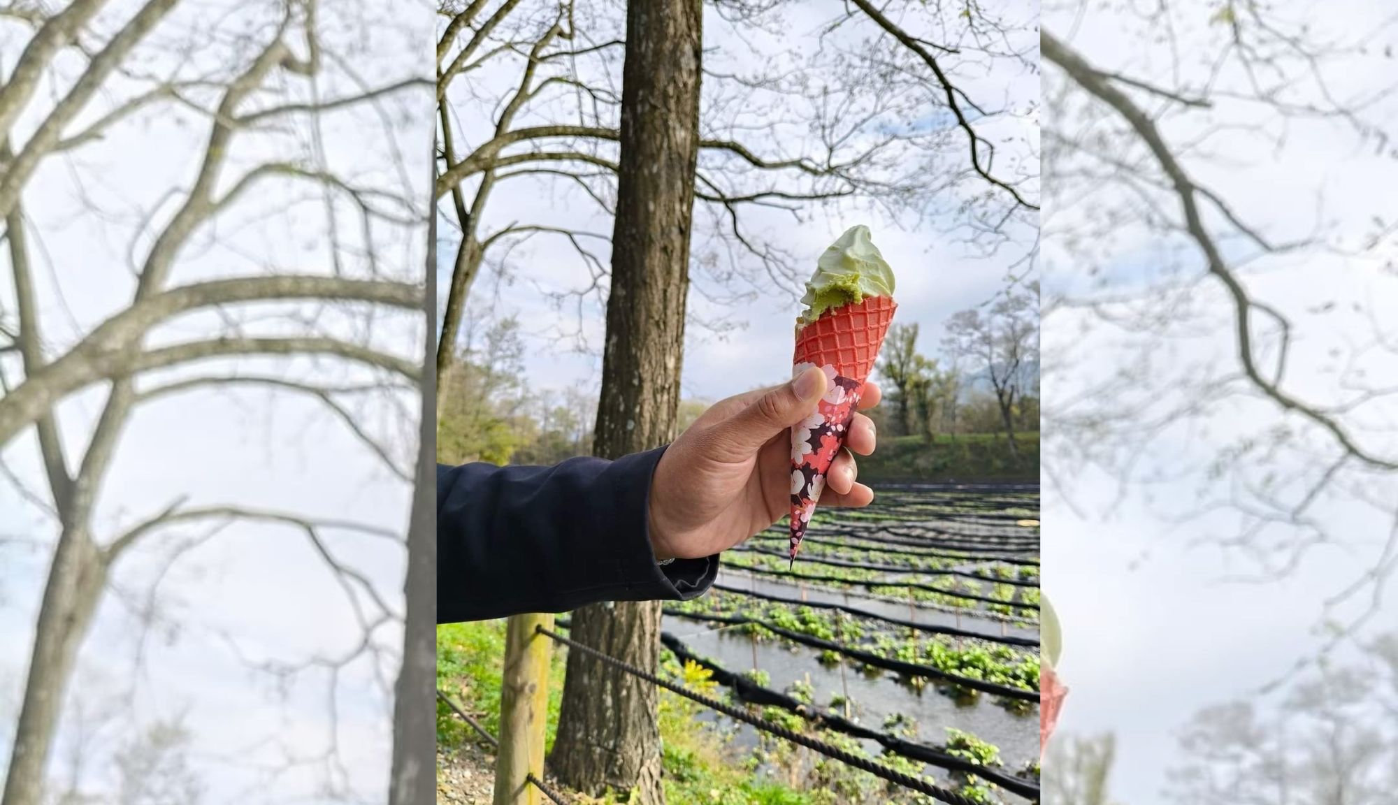 รีวิวจากลูกค้า : ขอขอบคุณอาจารย์ตั้ม Tour Hakuba Osaka Japan 11- 16 Nov’ 24 , Jubilee Travel,