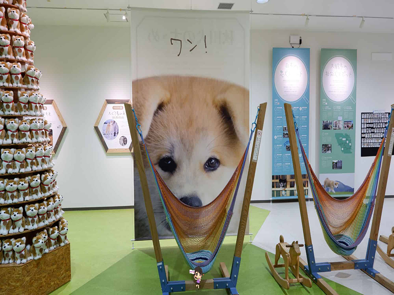 Odate Akita Dog Visitor Center :ชมความน่ารักสุดคิ้วท์ของน้องหมาอาคิตะที่หมู่บ้านหมาอาคิตะ , Jubilee Travel, Odate Akita Dog Visitor Center หมาอาคิตะ หมู่บ้านหมาอาคิตะ