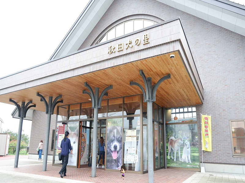 Odate Akita Dog Visitor Center :ชมความน่ารักสุดคิ้วท์ของน้องหมาอาคิตะที่หมู่บ้านหมาอาคิตะ , Jubilee Travel, Odate Akita Dog Visitor Center หมาอาคิตะ หมู่บ้านหมาอาคิตะ