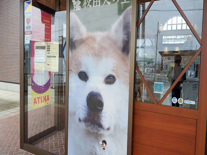 Odate Akita Dog Visitor Center :ชมความน่ารักสุดคิ้วท์ของน้องหมาอาคิตะที่หมู่บ้านหมาอาคิตะ , Jubilee Travel, Odate Akita Dog Visitor Center หมาอาคิตะ หมู่บ้านหมาอาคิตะ