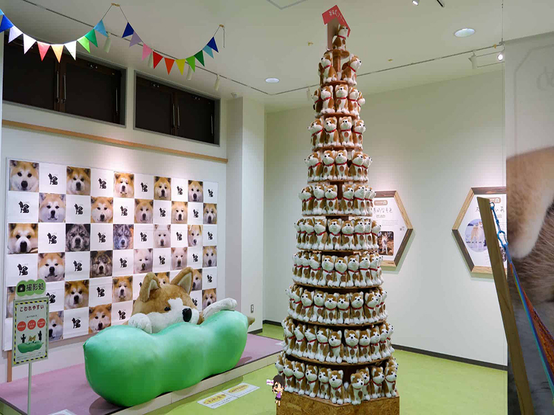 Odate Akita Dog Visitor Center :ชมความน่ารักสุดคิ้วท์ของน้องหมาอาคิตะที่หมู่บ้านหมาอาคิตะ , Jubilee Travel, Odate Akita Dog Visitor Center หมาอาคิตะ หมู่บ้านหมาอาคิตะ