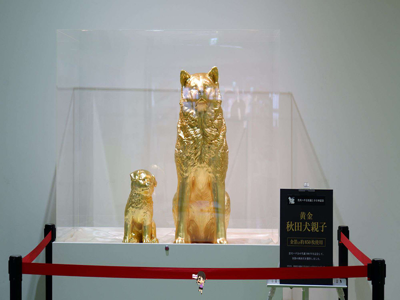 Odate Akita Dog Visitor Center :ชมความน่ารักสุดคิ้วท์ของน้องหมาอาคิตะที่หมู่บ้านหมาอาคิตะ , Jubilee Travel, Odate Akita Dog Visitor Center หมาอาคิตะ หมู่บ้านหมาอาคิตะ