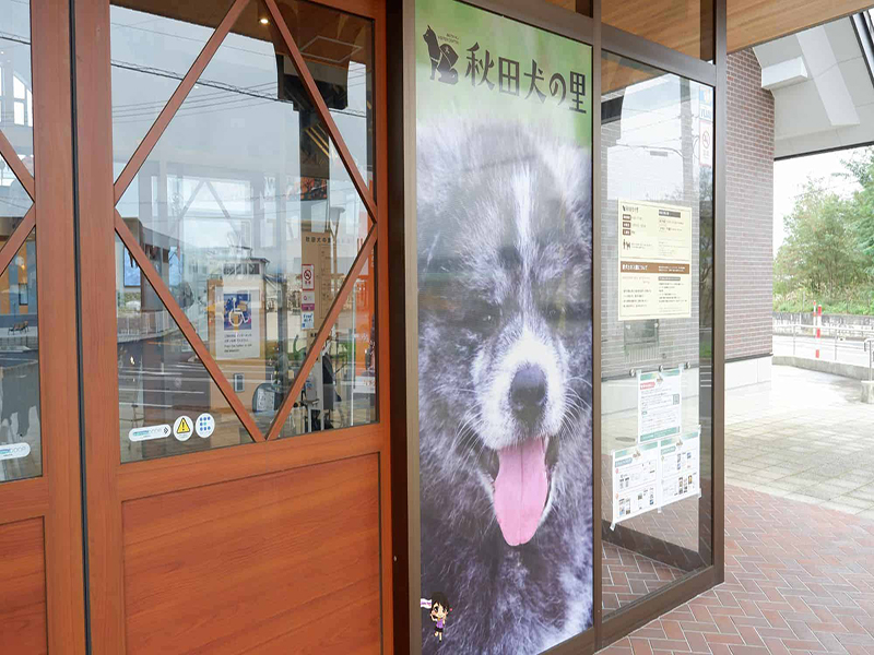 Odate Akita Dog Visitor Center :ชมความน่ารักสุดคิ้วท์ของน้องหมาอาคิตะที่หมู่บ้านหมาอาคิตะ , Jubilee Travel, Odate Akita Dog Visitor Center หมาอาคิตะ หมู่บ้านหมาอาคิตะ