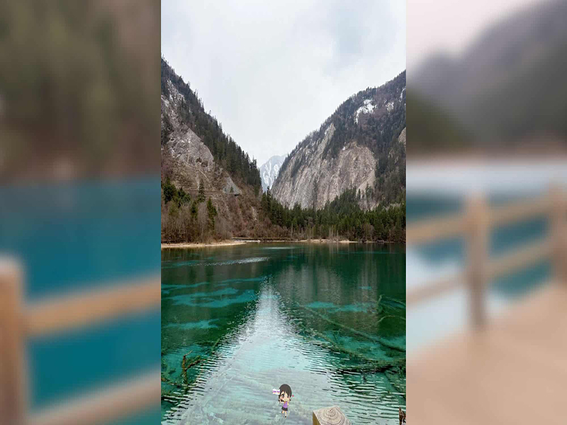 รีวิวจากลูกค้า : ขอขอบคุณ คุณบุญธรรม Tour China Chengdu 16 - 22 Mar'25 , Jubilee Travel, ทัวร์จีน จิ่วจ้ายโกว ต้ากู่ปิงชวน