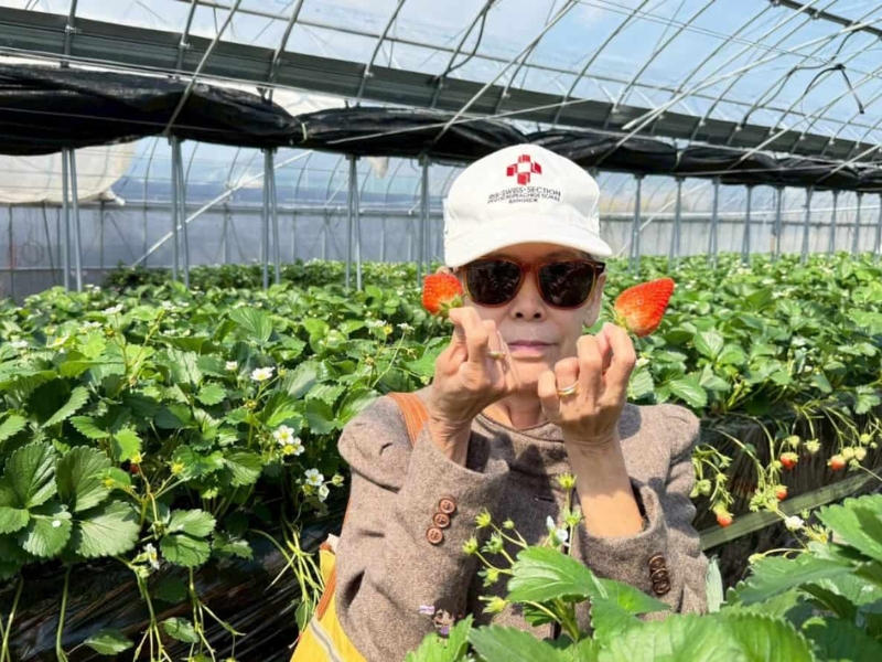 รีวิวจากลูกค้า : ขอขอบคุณ คุณนิ้ง Tour Japan Kagawa 17 - 22 Mar'25 , Jubilee Travel, Tour Japan Kagawa 17