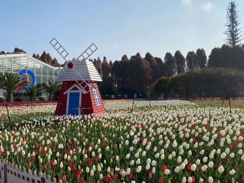 รีวิวจากลูกค้า : ขอขอบคุณ คุณธัญญภัทรและครอบครัว Tour china kunming 8 - 11 FEB’25 , Jubilee Travel, Tour china kunming