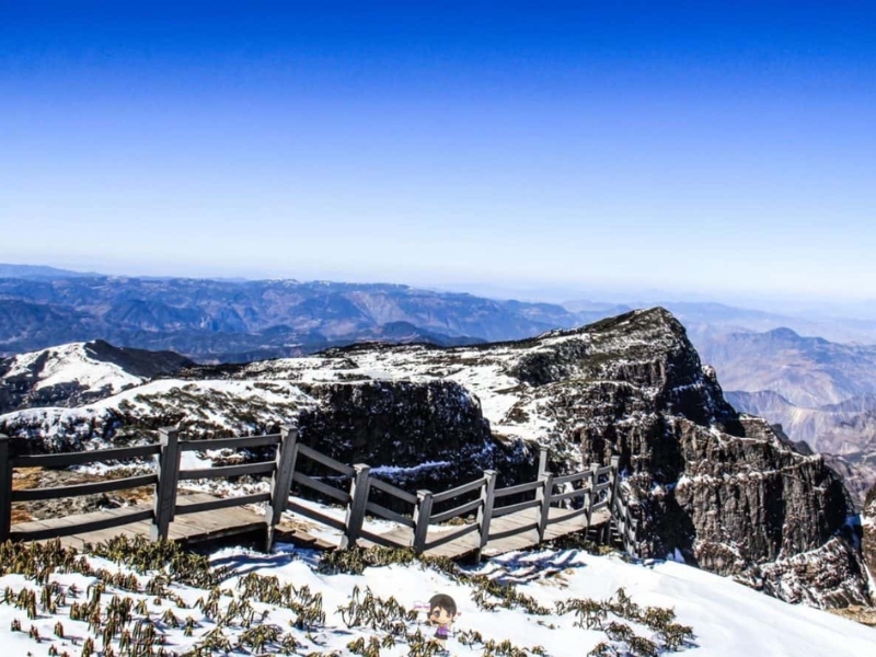 รีวิวจากลูกค้า : ขอขอบคุณ คุณธัญญภัทรและครอบครัว Tour china kunming 8 - 11 FEB’25 , Jubilee Travel, Tour china kunming