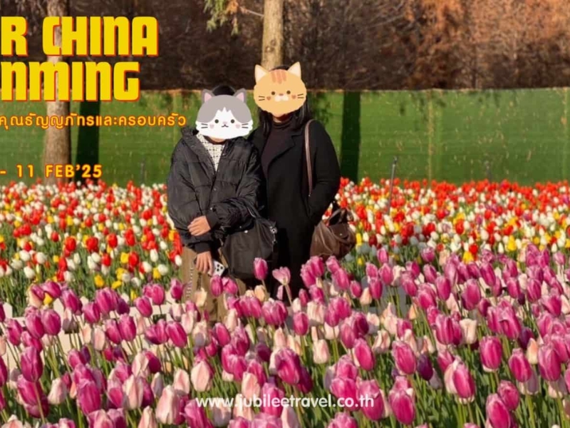 รีวิวจากลูกค้า : ขอขอบคุณ คุณธัญญภัทรและครอบครัว Tour china kunming 8 - 11 FEB’25 , Jubilee Travel, Tour china kunming